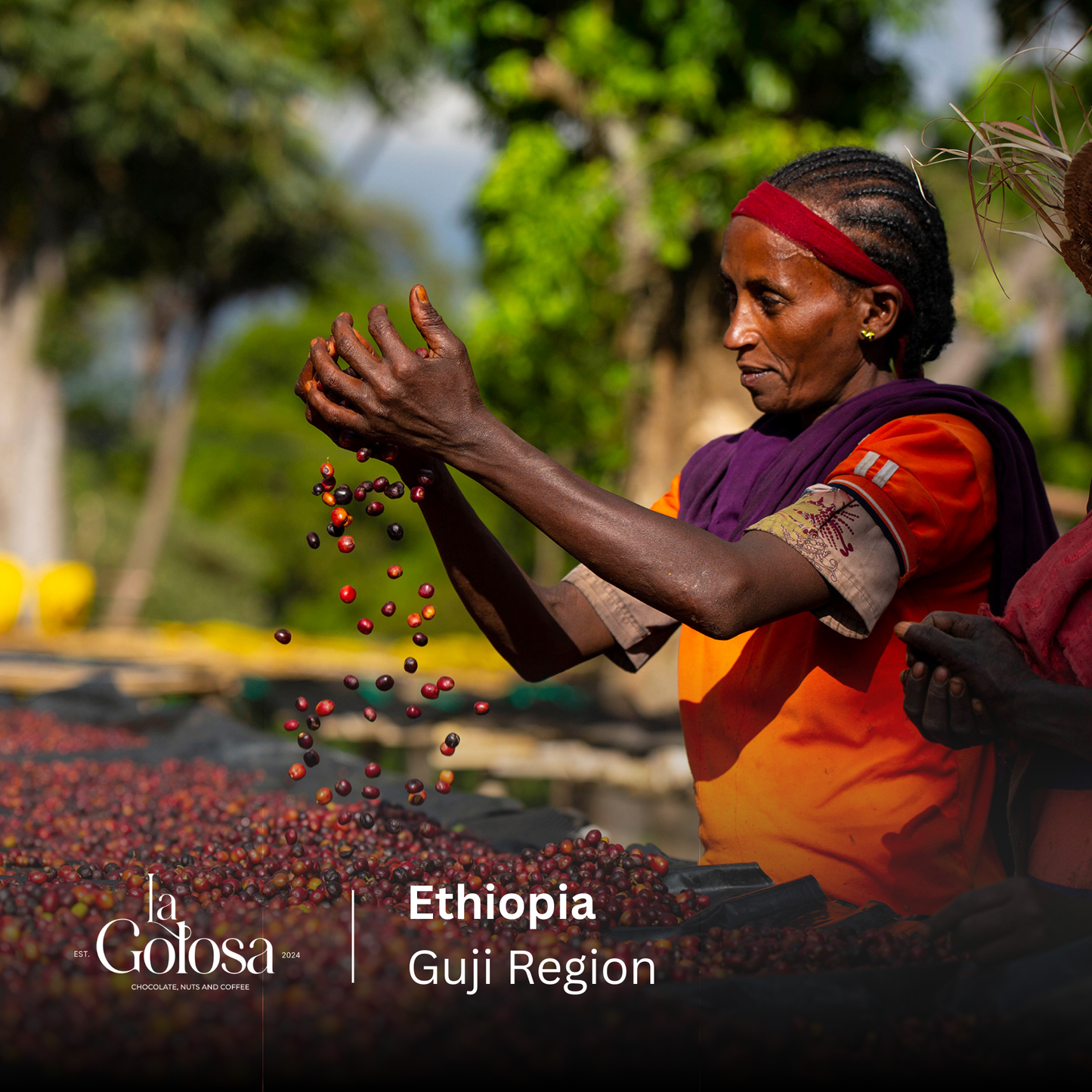 Ethiopia, Guji
