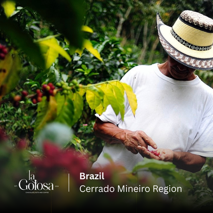 ⁠Brazil, Cerrado Mineiro
